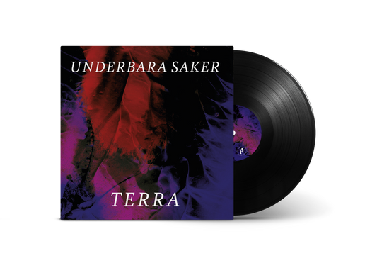Underbara saker - Vinyl